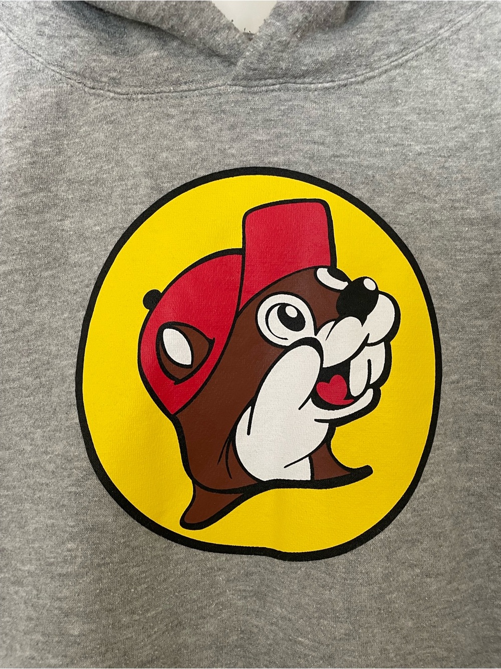Gray Graphic Hoodie with Yellow & Red Logo - Picture 2 of 5
